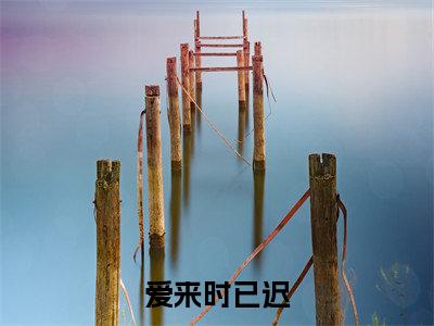 爱来时已迟小说（池霆序梁梦颜）全文免费阅读无弹窗大结局_池霆序梁梦颜最新章节列表（池霆序梁梦颜）
