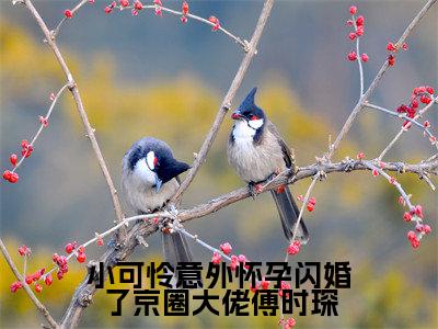 小可怜意外怀孕闪婚了京圈大佬傅时琛精彩章节免费阅读_（林妍傅时琛）小可怜意外怀孕闪婚了京圈大佬傅时琛抖音热推小说最新章节阅读