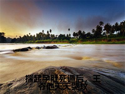 揣起孕肚死遁后，王爷他天天哭坟（齐铭沈昭月）小说全文免费阅读无弹窗_（齐铭沈昭月）最新章节列表_笔趣阁