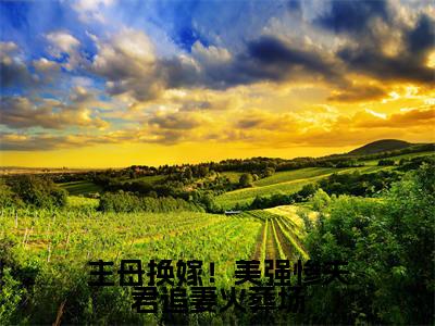 楚墨桑晴小说在线阅读-主母换嫁！美强惨夫君追妻火葬场小说最新章节阅读