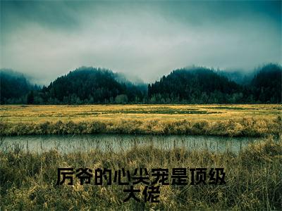 小说（厉爷的心尖宠是顶级大佬）_洛凌厉默寒全文阅读_厉爷的心尖宠是顶级大佬免费阅读大结局（免费+后续）