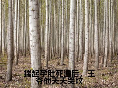 齐铭沈昭月（揣起孕肚死遁后，王爷他天天哭坟）全文免费阅读无弹窗大结局_揣起孕肚死遁后，王爷他天天哭坟完整版小说阅读（齐铭沈昭月）