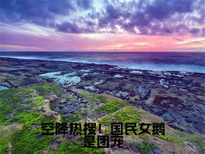 顾清砚绾柠是空降热搜！国民女鹅是团宠的小说（顾清砚绾柠）免费读_小说免费空降热搜！国民女鹅是团宠读-笔趣阁