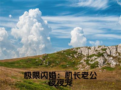 极限闪婚：机长老公夜夜宠小说全文免费阅读无弹窗大结局_（极限闪婚：机长老公夜夜宠）裴亦楚沈薄妄最新章节列表笔趣阁