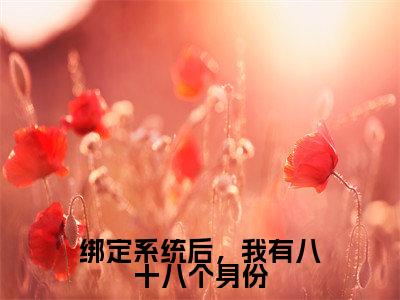 绑定系统后，我有八十八个身份（路悠）高质量小说免费阅读_绑定系统后，我有八十八个身份最新章节列表_笔趣阁