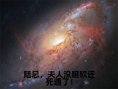 陆总,夫人没服软还死遁了!全文免费阅读无弹窗大结局,陆铮沈沐漓小说最新章节