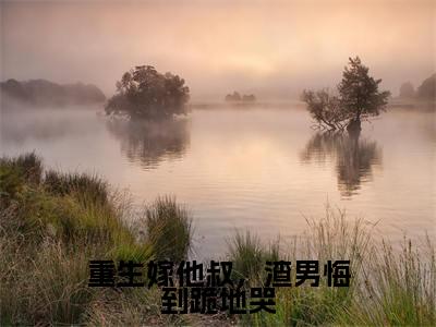 沈眠音顾淮之:重生嫁他叔,渣男悔到跪地哭阅读无弹窗大结局_(沈眠音顾淮之阅读无弹窗)最新章节列表_笔趣阁(沈眠音顾淮之)