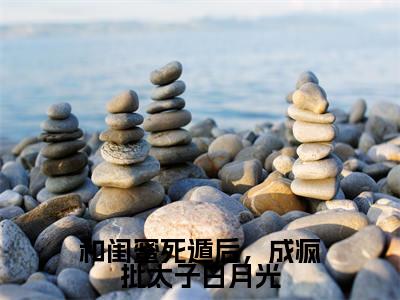 和闺蜜死遁后，成疯批太子白月光主角是江茯苓沈初全文免费阅读无弹窗-和闺蜜死遁后，成疯批太子白月光最新章节列表-笔趣阁