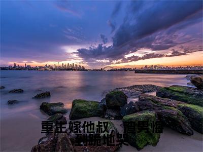 沈眠音顾淮之(重生嫁他叔,渣男悔到跪地哭)全文免费阅读无弹窗大结局_重生嫁他叔,渣男悔到跪地哭免费最新章节列表_笔趣阁