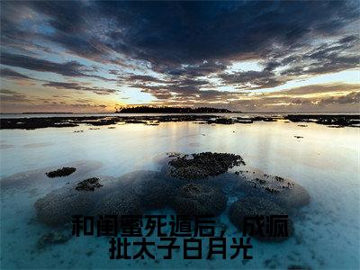 和闺蜜死遁后,成疯批太子白月光抖音热推小说全集无删减沈初江茯苓最新章节列表免费阅读_(和闺蜜死遁后,成疯批太子白月光)最新章节列表笔趣阁