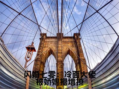 （陆铮宋清婉）闪婚七零：冷面大佬被娇媳摁墙撩全文免费阅读无弹窗大结局_闪婚七零：冷面大佬被娇媳摁墙撩最新章节列表笔趣阁（陆铮宋清婉）