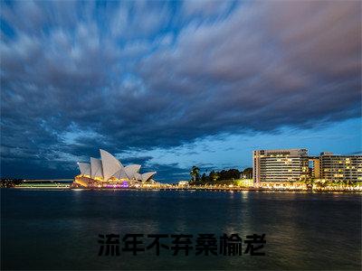 流年不弃桑榆老全文免费阅读大结局_流年不弃桑榆老（姚定北）最新章节列表