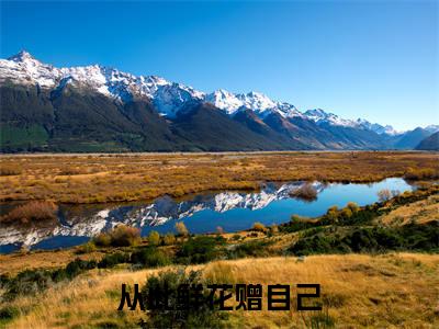 小说林期期全文免费阅读无弹窗大结局_从此鲜花赠自己完整阅读