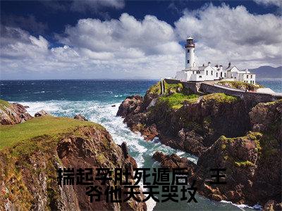 揣起孕肚死遁后,王爷他天天哭坟(齐铭沈昭月)全文免费阅读无弹窗大结局_揣起孕肚死遁后,王爷他天天哭坟最新章节列表-笔趣阁齐铭沈昭月