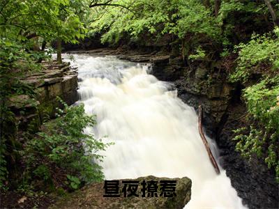 昼夜撩惹无广告免费阅读-小说邢峥简宓最后结局如何
