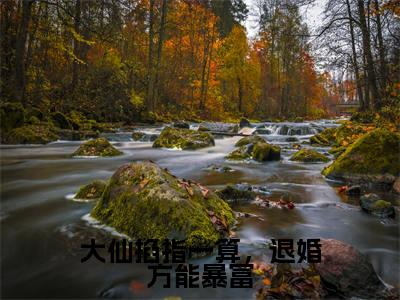 时光小说(大仙掐指一算,退婚方能暴富)全文免费阅读无弹窗大结局_时光(大仙掐指一算,退婚方能暴富)最新章节列表