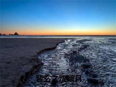 裴玄之沈娴月（裴玄之沈娴月）全文免费阅读无弹窗完整版，（裴玄之沈娴月）免费阅读全文最新章节列表_笔趣阁