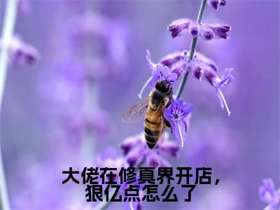 大佬在修真界开店，狠亿点怎么了（许宴）在哪免费看-大佬在修真界开店，狠亿点怎么了小说（许宴）全文完整版免费阅读