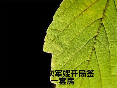 全章节完整《七零炮灰军嫂开局签到一套房》全文阅读《宋时苏明月》