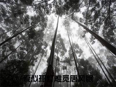 陆知行唐风眠全文免费阅读大结局爱似孤灯难觅唐风眠小说最新章节阅读无弹窗