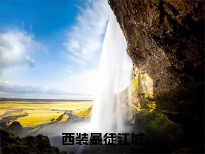 刘悦江城（西装暴徒江城）全文免费读无弹窗大结局_刘悦江城免费刘悦江城读无弹窗最新章节列表_笔趣阁