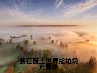 我在废土世界捡垃圾方青黛(方青黛)全文免费阅读无弹窗大结局_(方青黛)方青黛最新章节列表