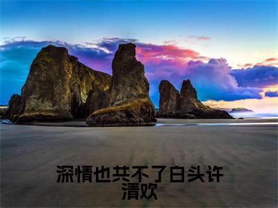 深情也共不了白头许清欢傅盛和许清欢全文免费阅读无弹窗大结局_傅盛和许清欢（深情也共不了白头许清欢）全文阅读_笔趣阁