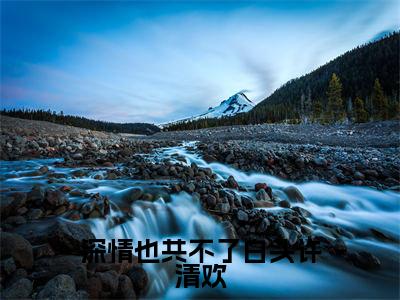 傅盛和许清欢（深情也共不了白头许清欢）全文免费阅读大结局_傅盛和许清欢（深情也共不了白头许清欢）免费在线阅读_笔趣阁