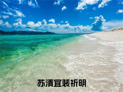 裴祈明苏清宜（苏清宜裴祈明）全文免费阅读无弹窗大结局_（裴祈明苏清宜免费阅读）苏清宜裴祈明无弹窗最新章节列表