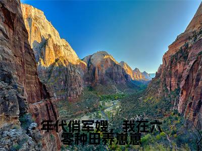 年代俏军嫂，我在六零种田养崽崽在线阅读（柳茵茵）全文免费阅读无弹窗大结局_柳茵茵最新章节列表笔趣阁（年代俏军嫂，我在六零种田养崽崽）