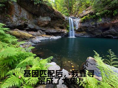 基因匹配后，我靠寻宝成了大佬！小说（商以宁）全文免费阅读无弹窗大结局_商以宁小说免费阅读无弹窗最新章节列表