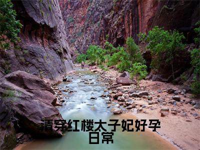 （清穿红楼太子妃好孕日常）在线阅读-主角是（胤礽若水）的小说清穿红楼太子妃好孕日常全文赏析最新章节列表_笔趣阁