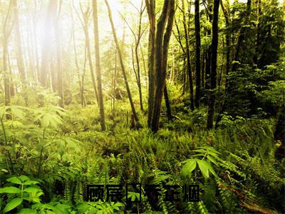 顾宸瑀乔芷烟已完结小说全集阅读（乔芷烟顾宸瑀完整版大结局）顾宸瑀乔芷烟小说全文阅读笔趣阁