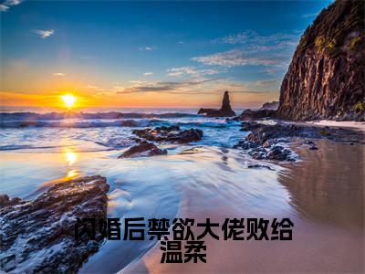 姜荞霍行洲全文免费阅读大结局闪婚后禁欲大佬败给温柔最新章节列表（全文）+（番外）