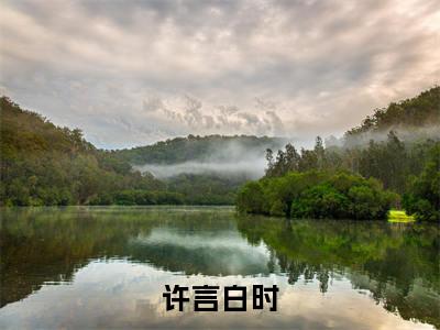 (免费)+(全文)许言白时(许言白时)免费阅读最新章节无弹窗许言白时完整版小说在线阅读