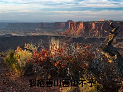 林嘉茉我栖春山春山不予完整全文在线阅读林嘉茉全文大结局阅读无弹窗