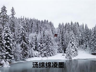 汤绵绵凌墨小说完整版阅读-（汤绵绵凌墨）小说全文免费阅读