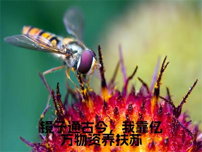 新上热文镜子通古今，我靠亿万物资养扶苏在线阅读-李蓉蓉扶苏叫李蓉蓉扶苏的小说全文完整版免费阅读