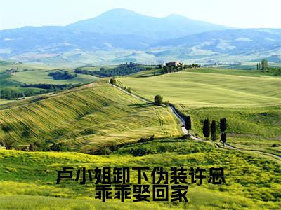 卢仪妤许航毅全文免费大结局卢小姐卸下伪装许总乖乖娶回家小说在线阅读