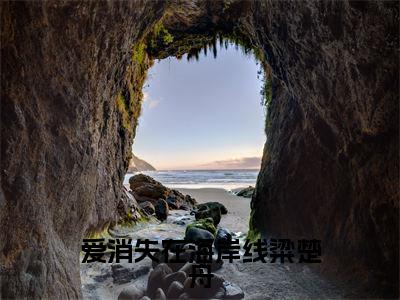 爱消失在海岸线粱楚舟(沈晚棠粱楚舟)小说全文免费阅读无弹窗大结局_爱消失在海岸线粱楚舟(沈晚棠粱楚舟)最新章节列表