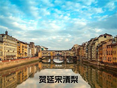 贺延宋清梨（宋清梨贺延）精选好书-宋清梨贺延无删减小说在线阅读（贺延宋清梨全文免费阅读）