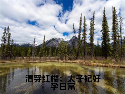 清穿红楼:太子妃好孕日常全文免费阅读无弹窗大结局_(胤礽若水在线阅读)清穿红楼:太子妃好孕日常最新章节完整版阅读