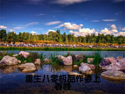 江桃小说全文（重生八零极品作妻上春晚）在线阅读-江桃全文免费阅读无弹窗大结局