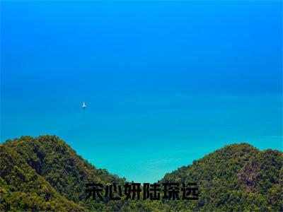 陆琛远宋心妍是哪部小说的主角，宋心妍陆琛远免费阅读全文大结局