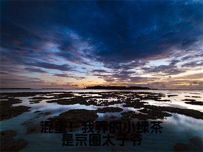 主角是陆战北沈南乔的小说（混蛋！我养的小绿茶是京圈太子爷）-（混蛋！我养的小绿茶是京圈太子爷）陆战北沈南乔全文免费阅读无弹窗大结局笔趣阁