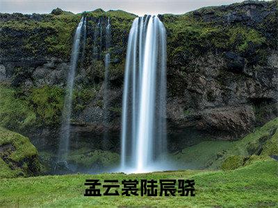 孟云裳陆宸骁（孟云裳陆宸骁）全文免费阅读无弹窗大结局_孟云裳陆宸骁小说免费最新章节列表_笔趣阁