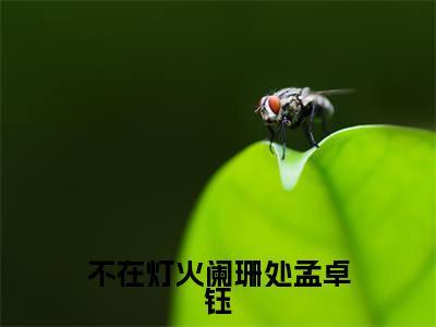【新书】《不在灯火阑珊处孟卓钰》全文免费阅读无弹窗大结局-顾宁辰孟卓钰全章节免费阅读