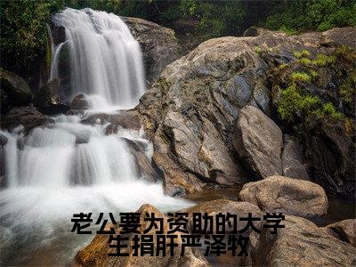 老公要为资助的大学生捐肝严泽牧(严泽牧)全文免费阅读无弹窗大结局_老公要为资助的大学生捐肝严泽牧全文在线阅读无弹窗