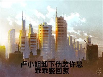 卢仪妤许航毅(卢小姐卸下伪装许总乖乖娶回家小说)全文免费阅读无弹窗大结局_(卢仪妤许航毅小说)最新章节列表