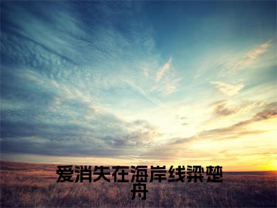 爱消失在海岸线粱楚舟全文免费阅读无弹窗大结局，沈晚棠粱楚舟小说精彩免费试读